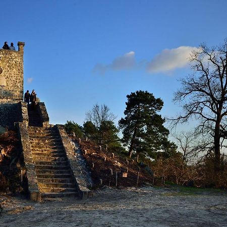 Le Denecourt - A Deux Pas De La Gare Et De La Foret De Fontainebleau Avon Exterior foto